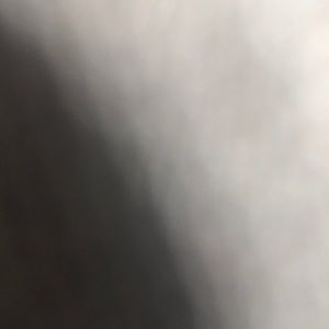 Meet your Posher, Danesha